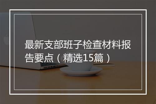 最新支部班子检查材料报告要点（精选15篇）
