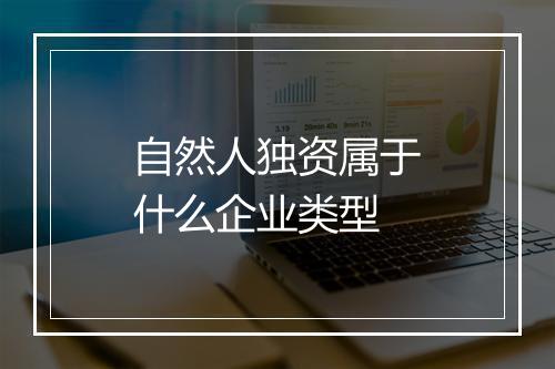 自然人独资属于什么企业类型