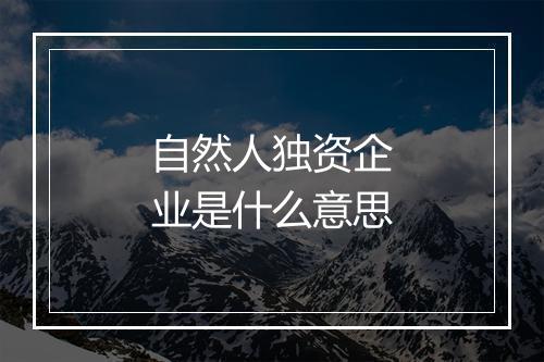 自然人独资企业是什么意思