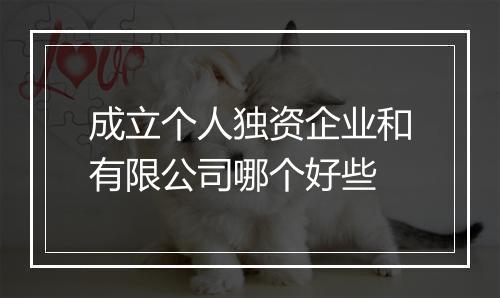 成立个人独资企业和有限公司哪个好些