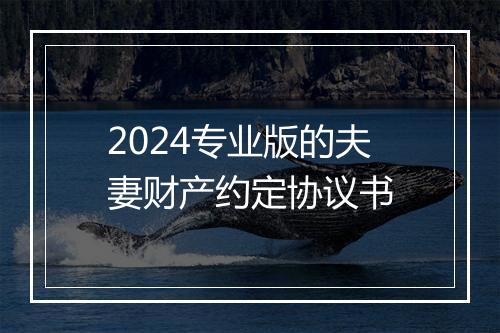2024专业版的夫妻财产约定协议书