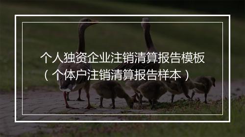 个人独资企业注销清算报告模板（个体户注销清算报告样本）