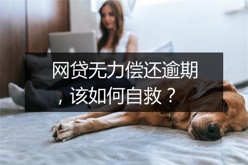 网贷无力偿还逾期，该如何自救？
