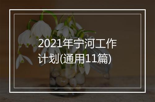 2021年宁河工作计划(通用11篇)