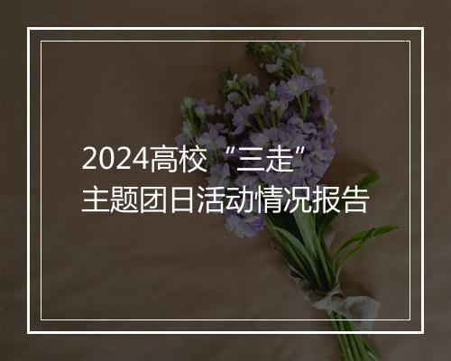 2024高校“三走”主题团日活动情况报告