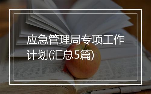 应急管理局专项工作计划(汇总5篇)