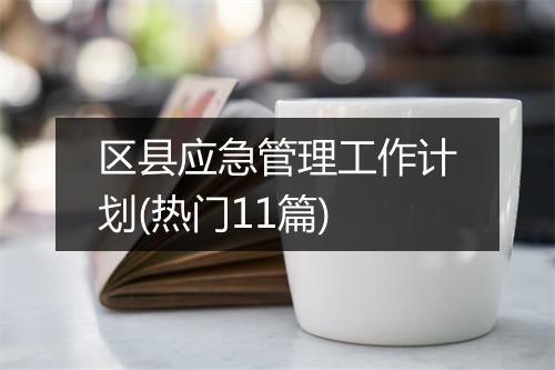 区县应急管理工作计划(热门11篇)