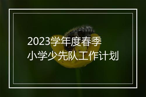 2023学年度春季小学少先队工作计划