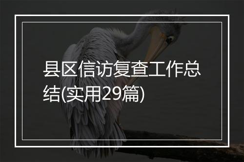县区信访复查工作总结(实用29篇)