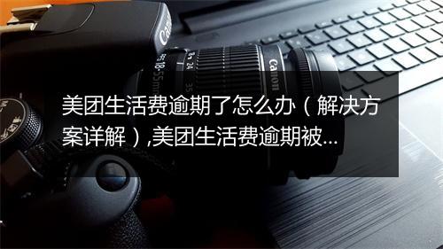 美团生活费逾期了怎么办（解决方案详解）,美团生活费逾期被立案是真的吗