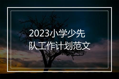 2023小学少先队工作计划范文