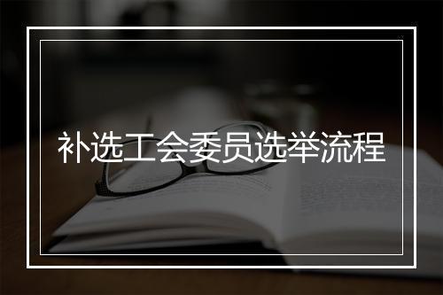 补选工会委员选举流程