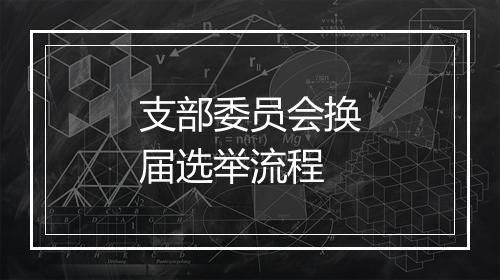 支部委员会换届选举流程