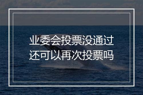 业委会投票没通过还可以再次投票吗
