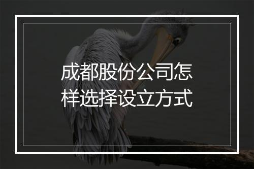 成都股份公司怎样选择设立方式
