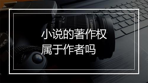 小说的著作权属于作者吗