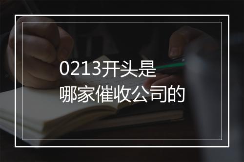 0213开头是哪家催收公司的