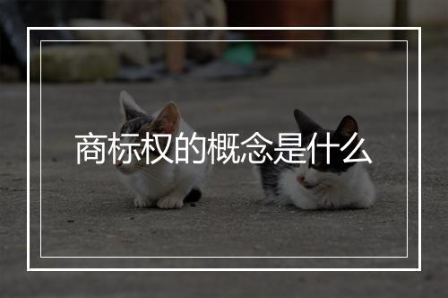 商标权的概念是什么