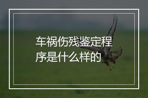 车祸伤残鉴定程序是什么样的