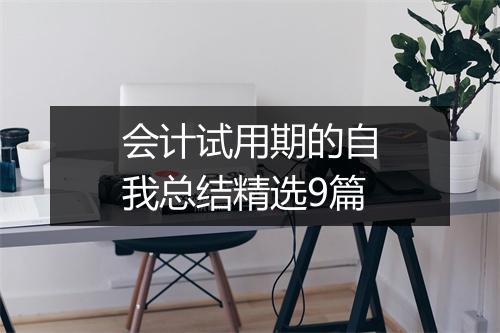 会计试用期的自我总结精选9篇