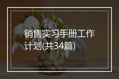 销售实习手册工作计划(共34篇)