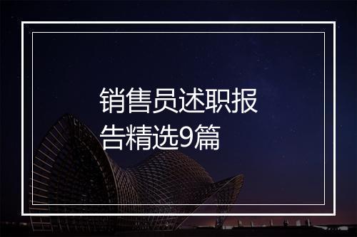 销售员述职报告精选9篇