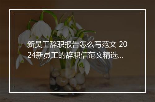 新员工辞职报告怎么写范文 2024新员工的辞职信范文精选9篇