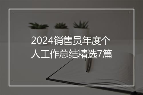 2024销售员年度个人工作总结精选7篇