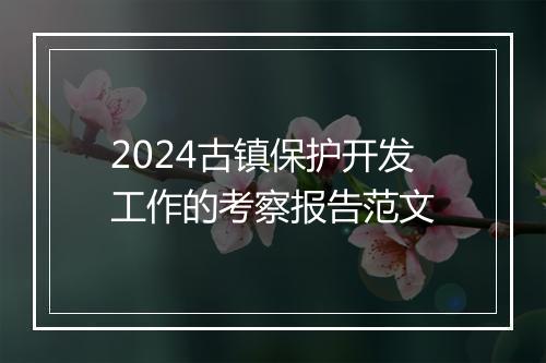 2024古镇保护开发工作的考察报告范文