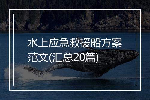 水上应急救援船方案范文(汇总20篇)