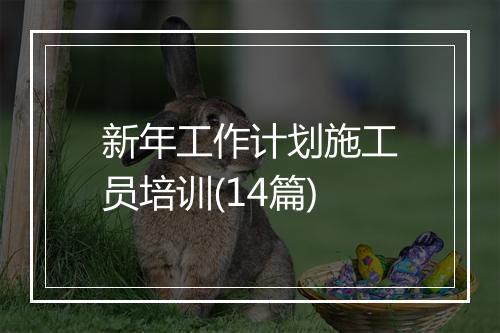 新年工作计划施工员培训(14篇)