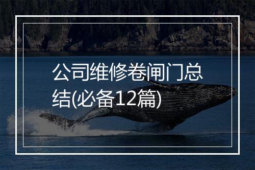公司维修卷闸门总结(必备12篇)