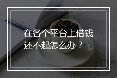 在各个平台上借钱还不起怎么办？