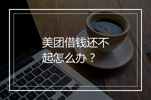 美团借钱还不起怎么办？