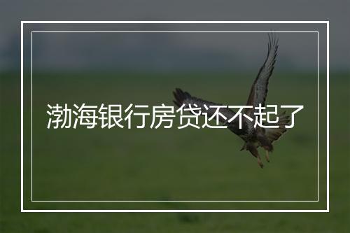 渤海银行房贷还不起了