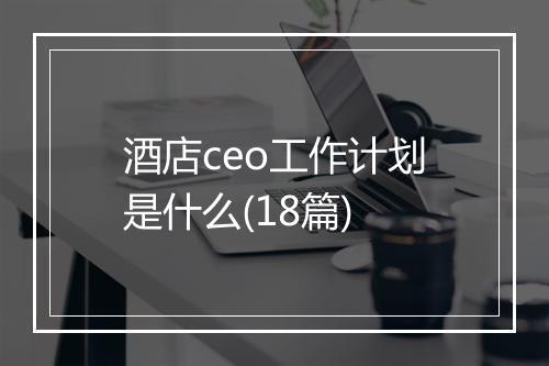 酒店ceo工作计划是什么(18篇)