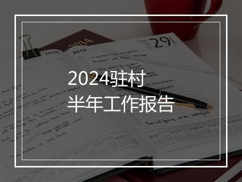 2024驻村半年工作报告