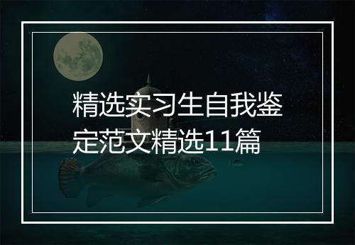 精选实习生自我鉴定范文精选11篇