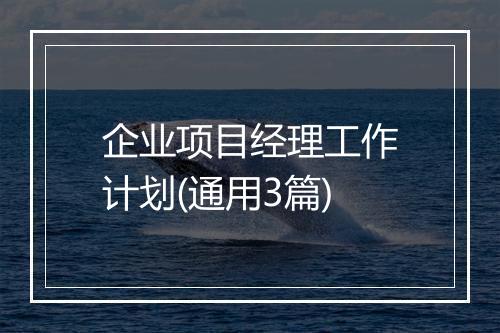 企业项目经理工作计划(通用3篇)