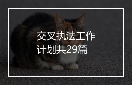 交叉执法工作计划共29篇