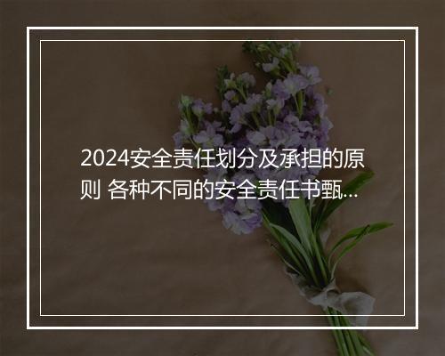 2024安全责任划分及承担的原则 各种不同的安全责任书甄选合集8篇