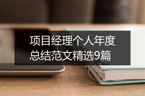 项目经理个人年度总结范文精选9篇