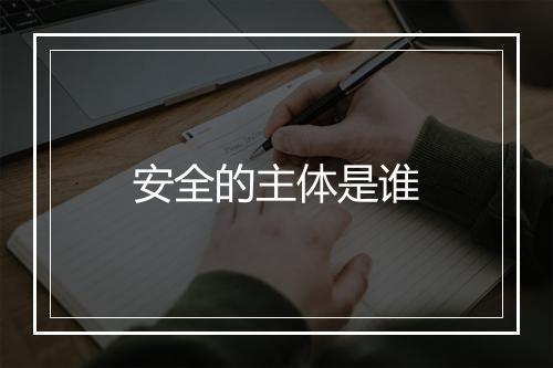 安全的主体是谁