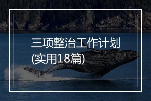 三项整治工作计划(实用18篇)
