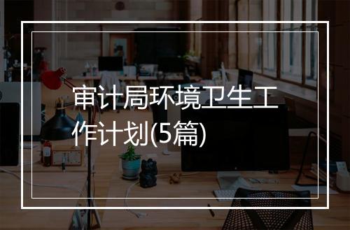 审计局环境卫生工作计划(5篇)