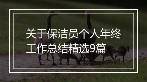 关于保洁员个人年终工作总结精选9篇