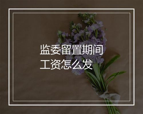 监委留置期间工资怎么发