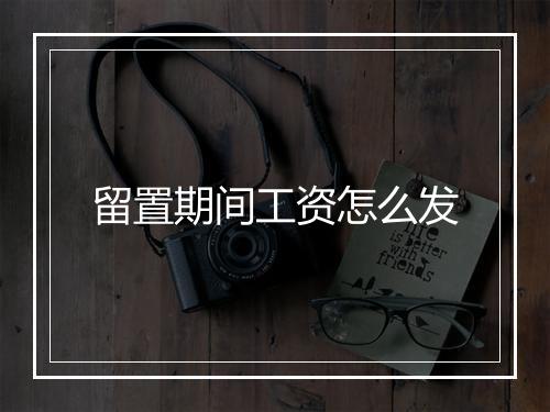 留置期间工资怎么发