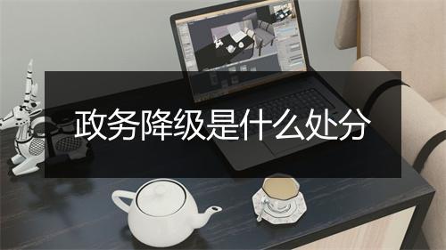 政务降级是什么处分