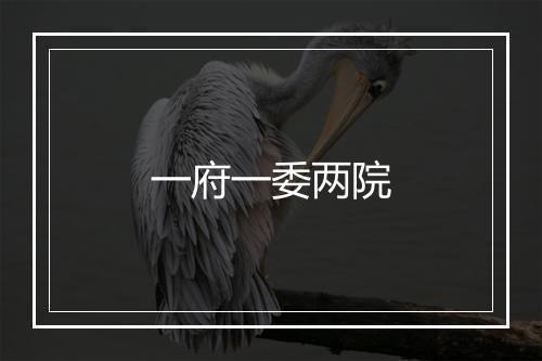 一府一委两院